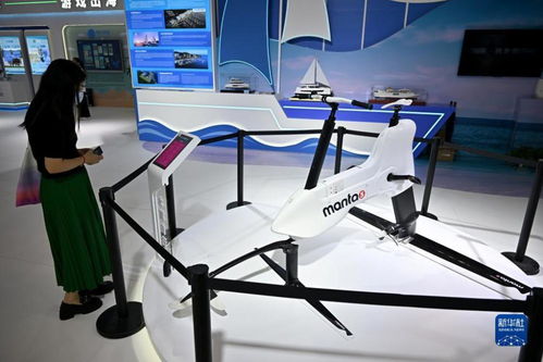 國產科技產品亮相消博會，北京軟件技術服務展創新實力